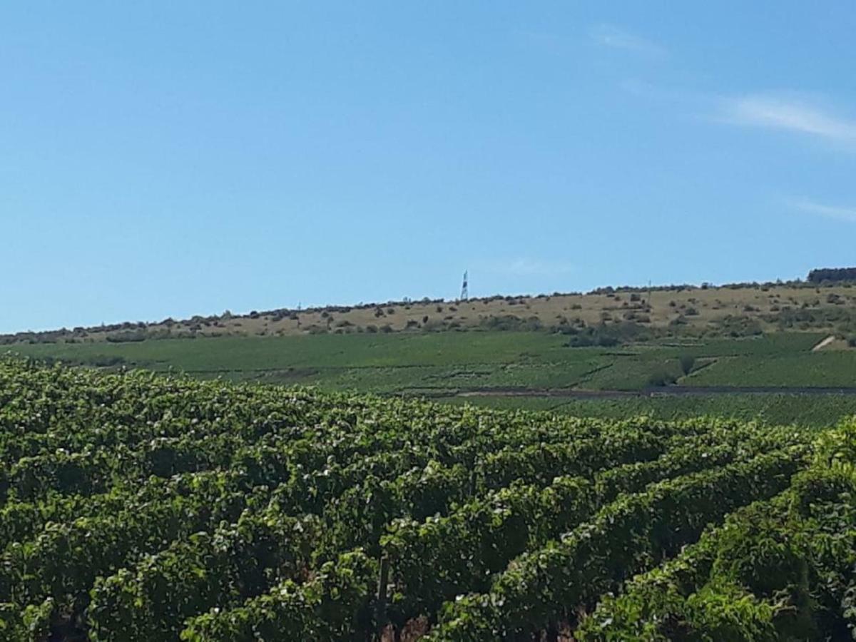 La Layotte Villa Vosne-Romanée Buitenkant foto