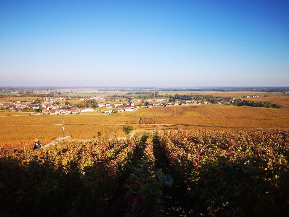La Layotte Villa Vosne-Romanée Buitenkant foto